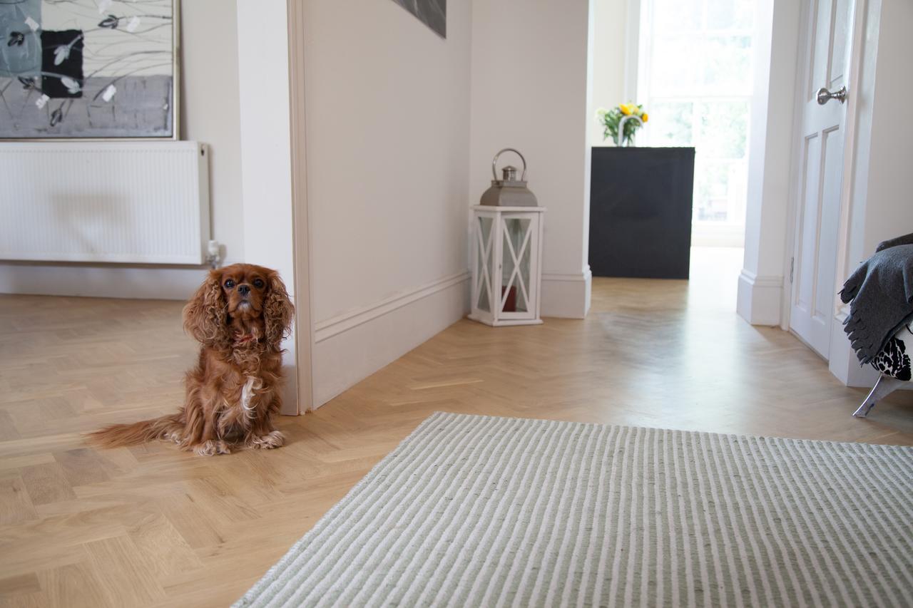 솔즈베리 Loder House B&B 외부 사진